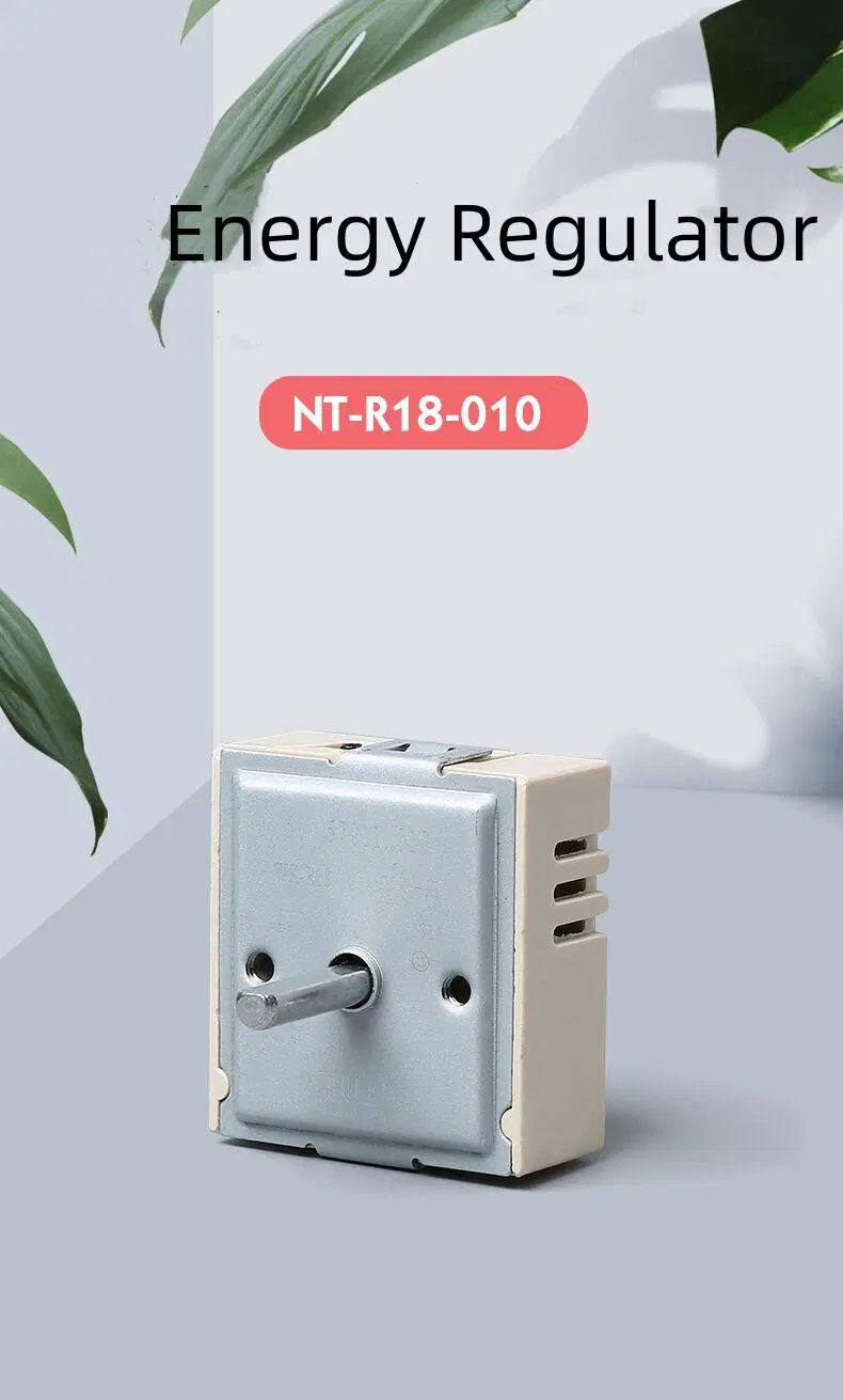 Energy Regulator Nt-R18 Series Infinite Switch with Rated Voltage 250V/110V and Rated Current16A Oven Infinite Switch Energy Switch